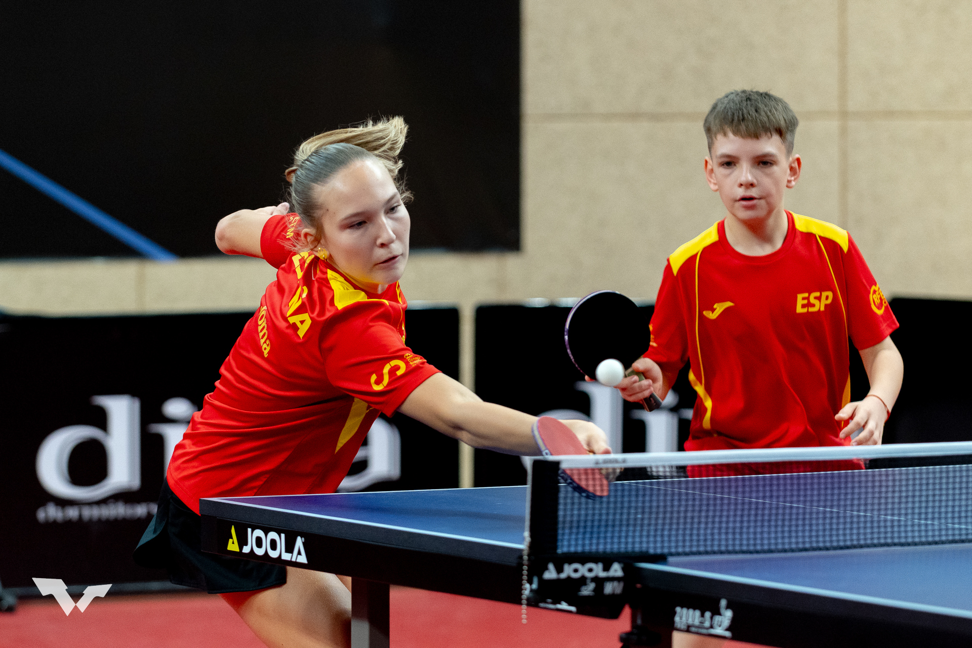 DRAGAN B. NIKOLIC +382 67 32 44 55