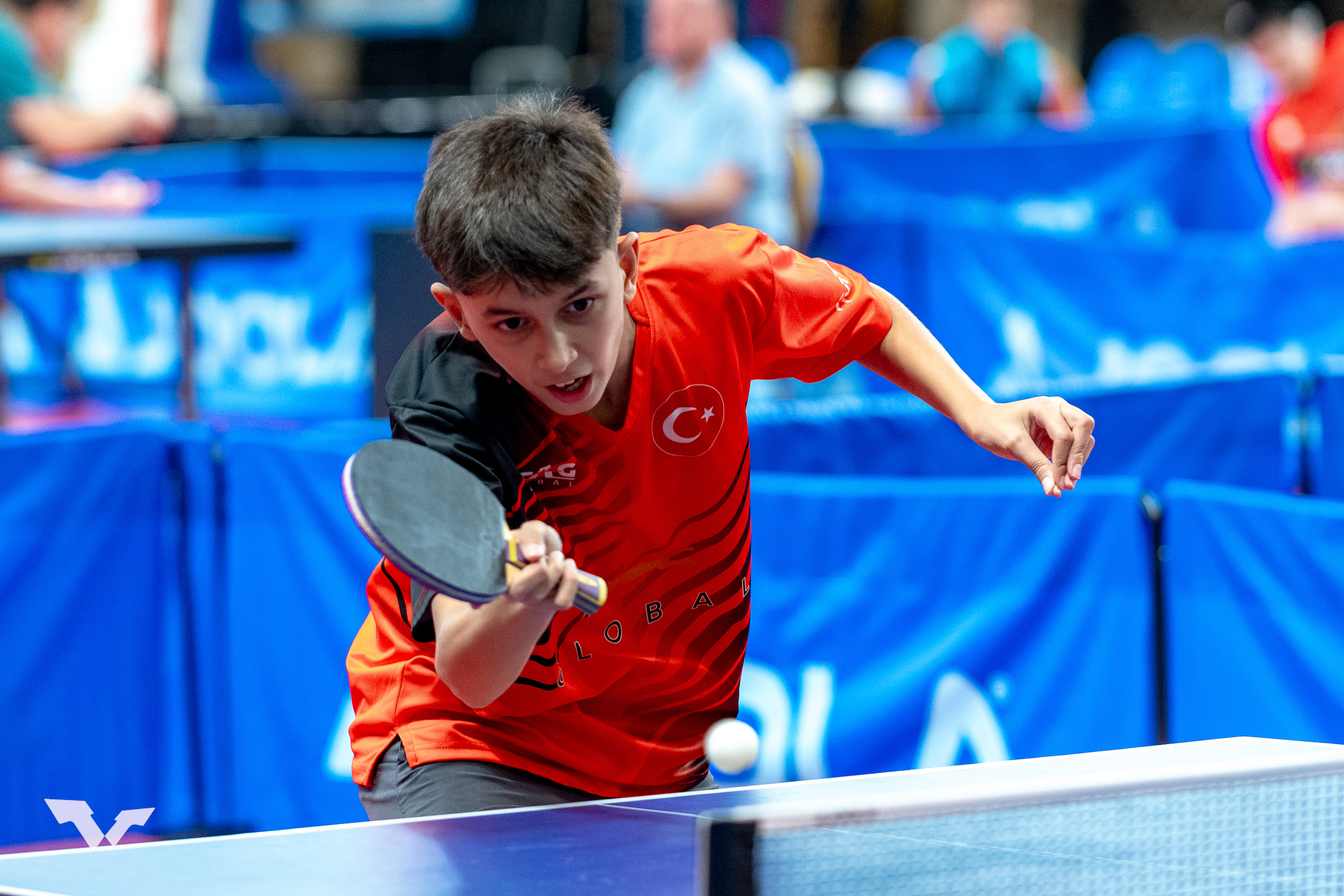 DRAGAN B. NIKOLIC +382 67 32 44 55